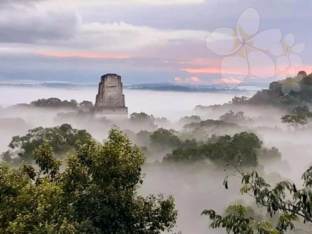 Amina Inn Flores Dış mekan fotoğraf